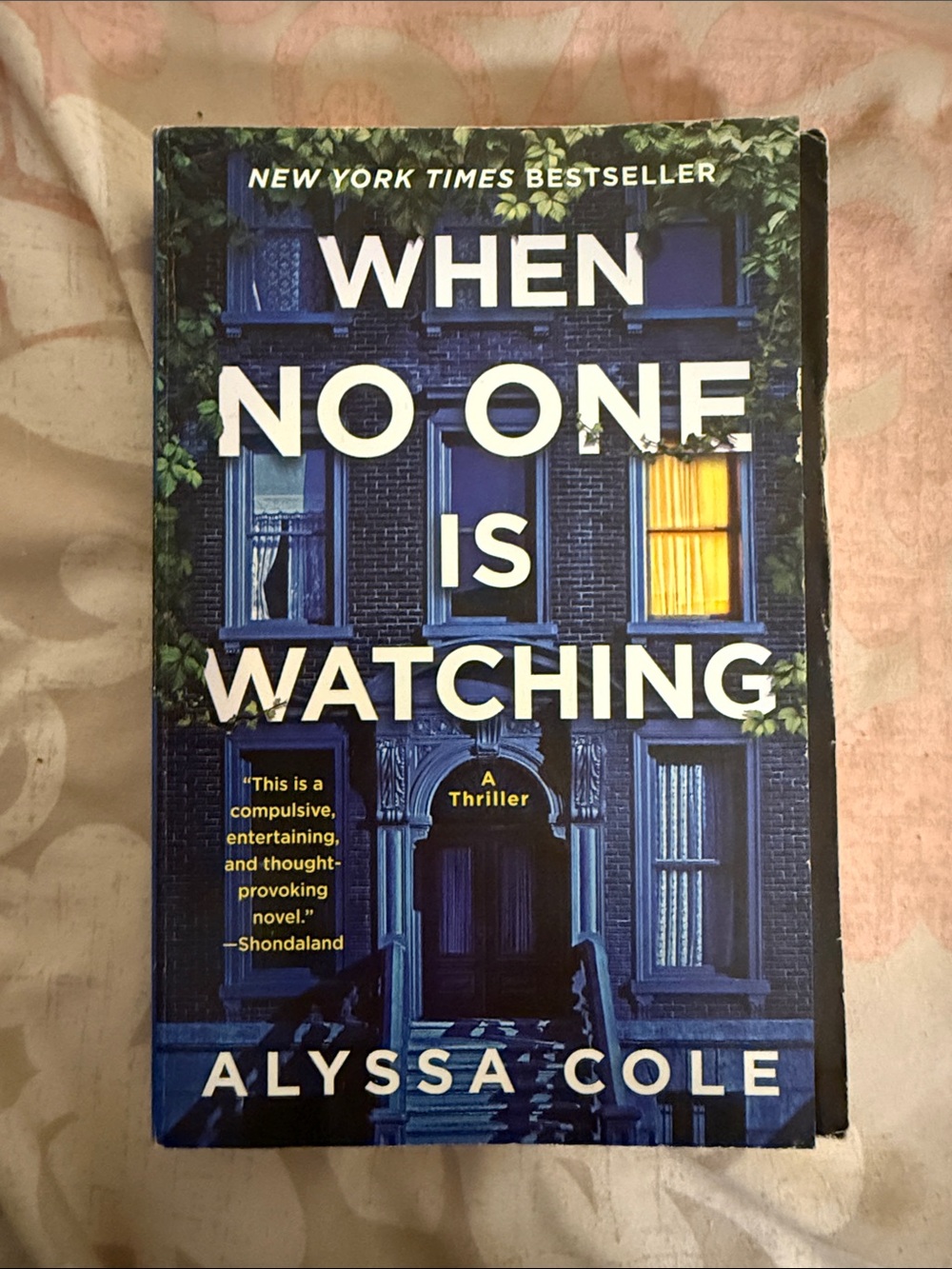 When no one is watching Alyssa Cole paperback